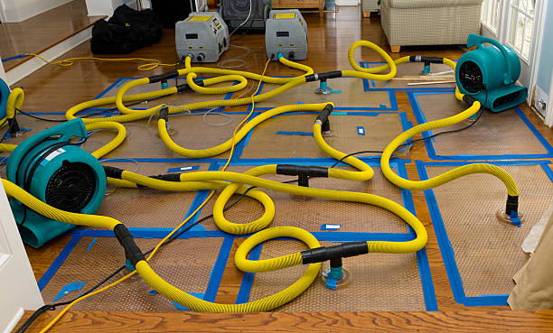 Professional Basement Flood Cleanup technician working in East Longmeadow, MA